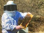 Nurse Enjoys Beekeeping Hobby and the Resulting Honey Products