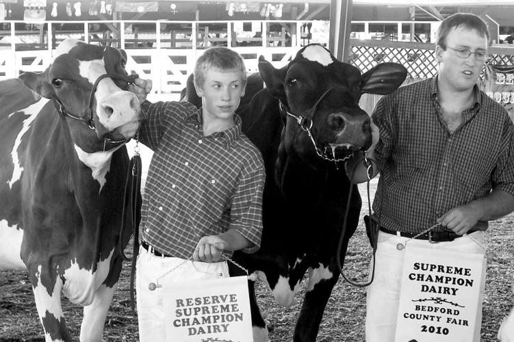 Holsteins Take Top Honors at Bedford County Fair Dairy Shows Farming and Agricultural News