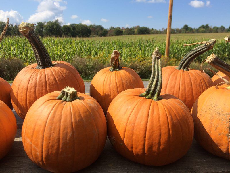 Baked Pumpkin