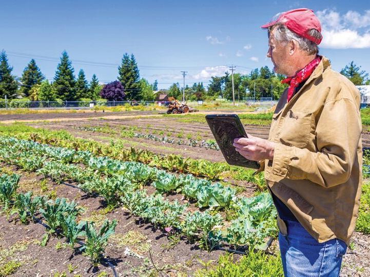 USDA Gathering Farm Labor Data - Vimarsana News