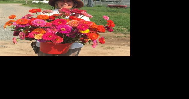 Willow Wisp Partners Are Farmers of the Year - Vimarsana News