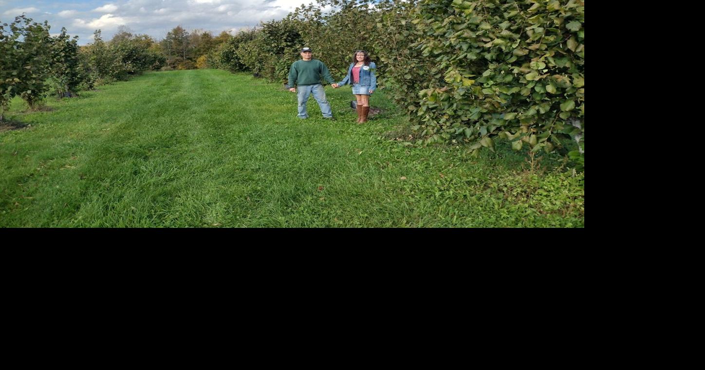 How the New York Tree Crops Alliance is revolutionizing tree nut