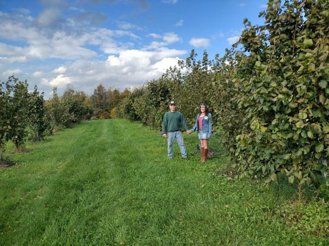 How the New York Tree Crops Alliance Is Revolutionizing Tree Nut