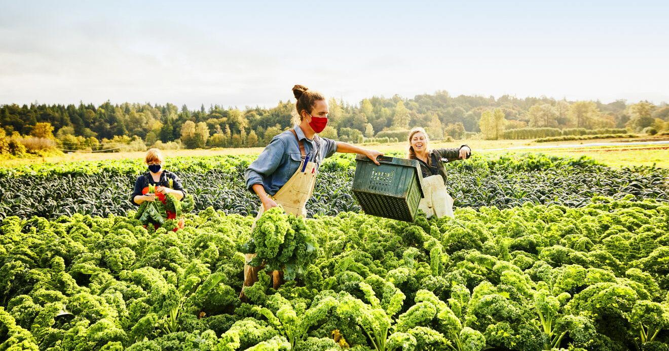 Meet the Maryland Women Championing the Local Food Movement [Opinion] - Vimarsana News