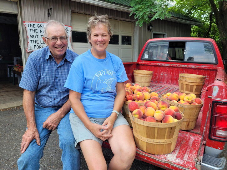 Where to pick your own peaches this summer in Lancaster County, Food