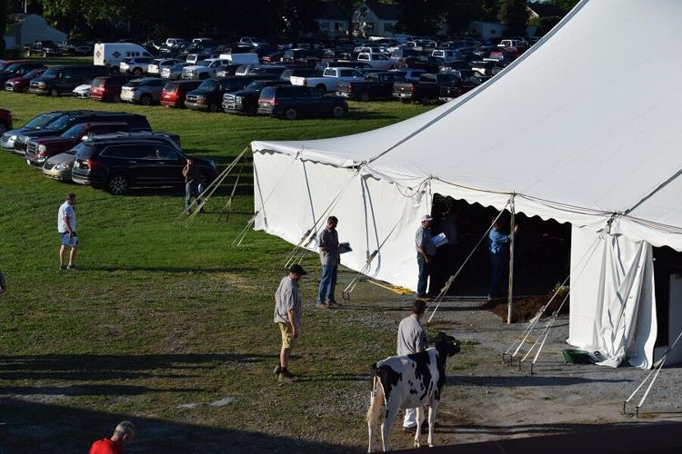 Photos From the 2021 National Holstein Convention Sale News