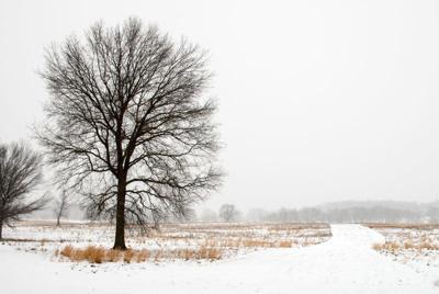 Many Reasons For Grieving During Covid 19 Health Safety
