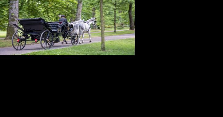 NYC Central Park Carriage Horse Ban Fails Again - Vimarsana News