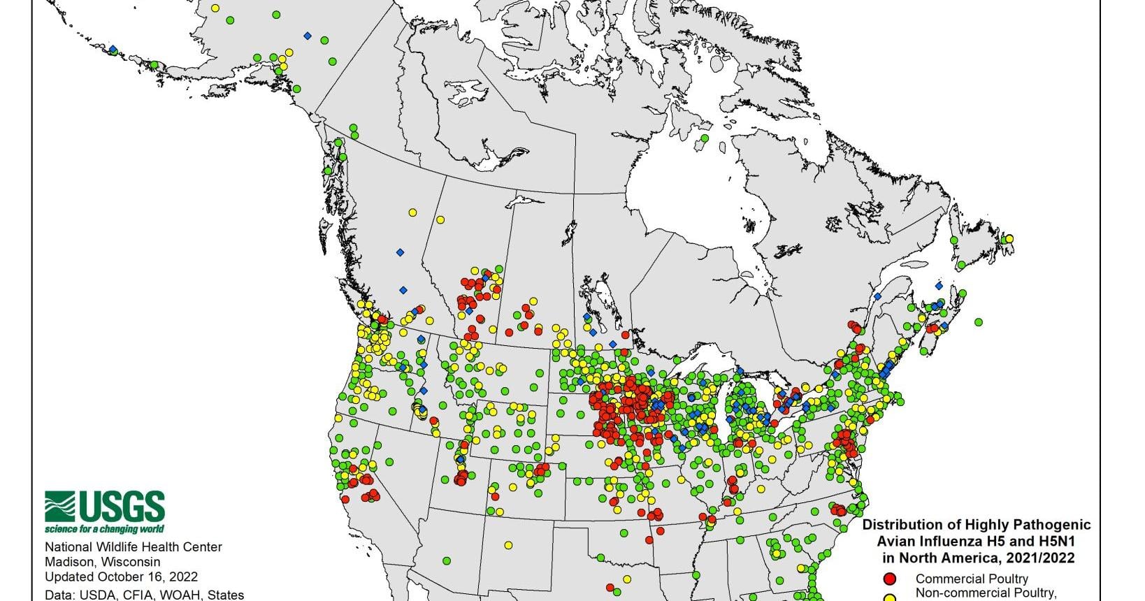 Avian Influenza Kills 50 Million Birds in US | Poultry News - Vimarsana News