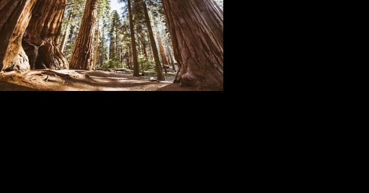 It's Time to Share Your Park Story: National Park Week Is Coming Soon! | Outdoor Sports, Hunting and DIY Crafts - Vimarsana News