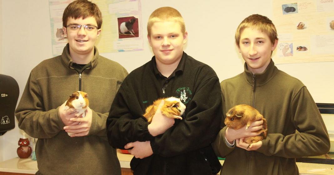 Teacher Focuses On Urban Agriculture In New Ag Science Curriculum Teacher focuses on urban agriculture in new ag science curriculum