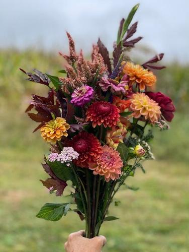 Flower Farmer Produces Heirloom Varieties Full of Fragrance and Charm | Gardening 8 LF20220326-3flores-tuma07.jpg