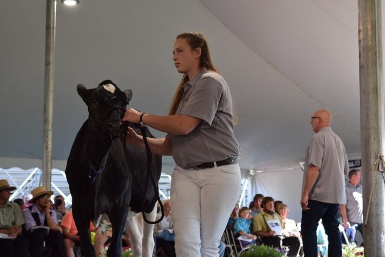 Photos From the 2021 National Holstein Convention Sale News