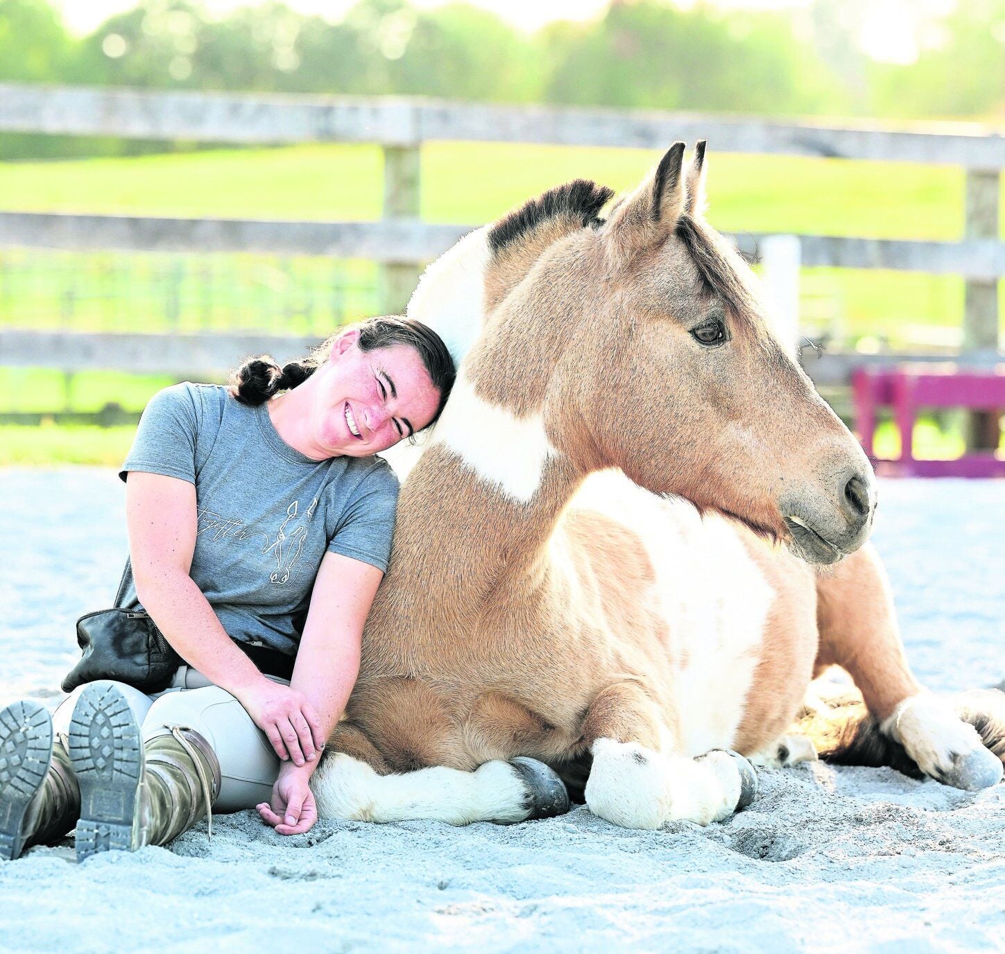 Welcome to Zillow’s World: Remarkable Rescue Horse Goes From Shut-In to ...