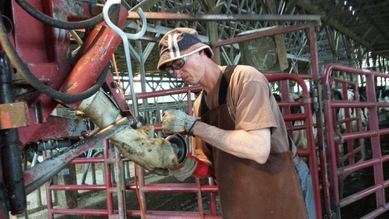 Hoof Trimming Artist Provides Important Services To Dairies