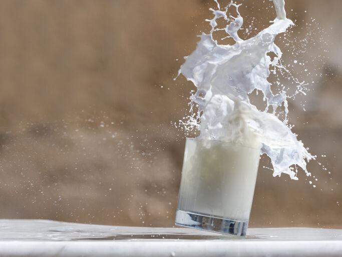 Sign-Ups Boom for Dairy Risk Program - Vimarsana News