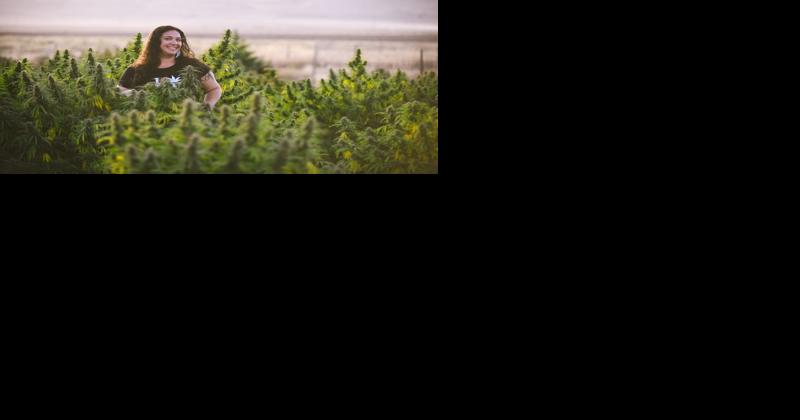 Podcast: Colorado Hemp Legislation May Do More Harm Than Good - Vimarsana News