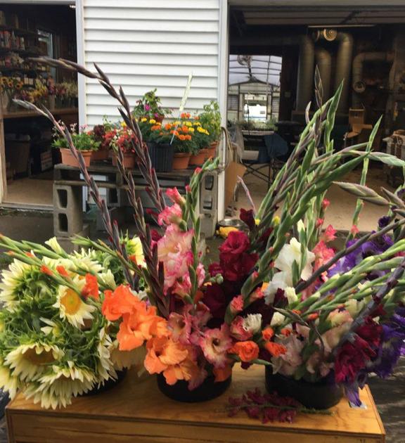 Cut Flowers Add Color To Ag Industry Northern Edition