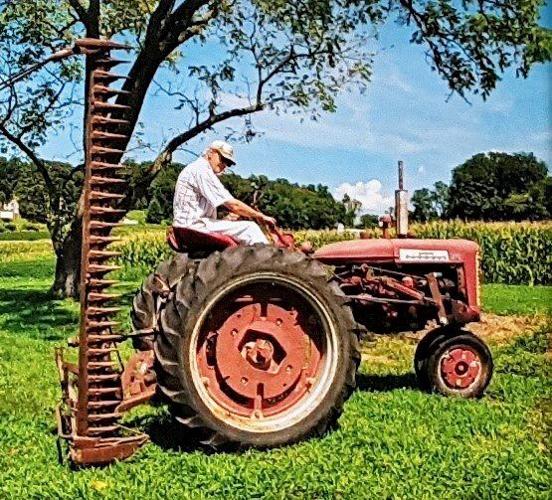 Classic Tractor Gallery May 22 2021 Antique Information History Education Lancasterfarming Com Classic Tractor Gallery May 22 2021, Vintage Dairy Farm Equipment
