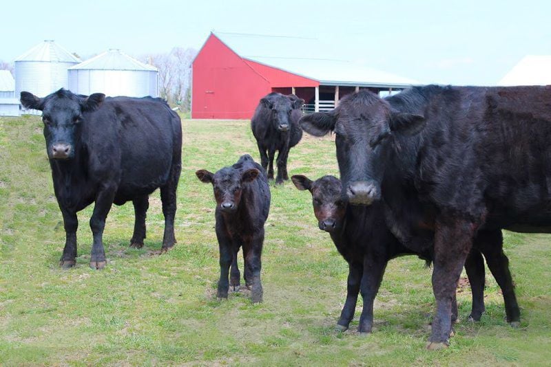 Family Farmers Open New Meat Enterprise | Southern Region ...