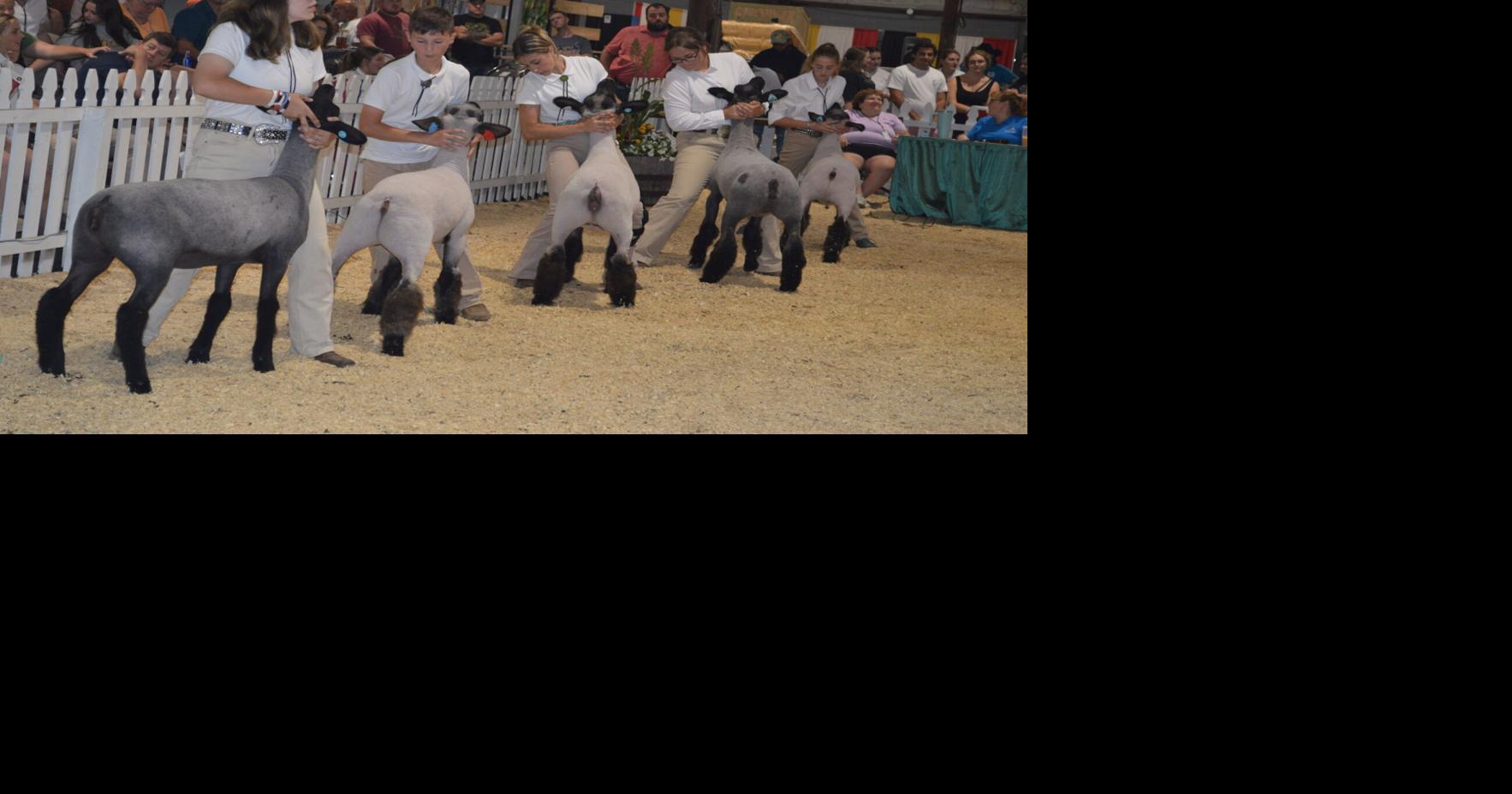 Maryland County Fairs and Shows Guide 2024 Dates and Official Websites
