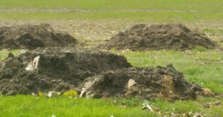 DEP Seeks PFAS Testing for Land-Applied Biosolids