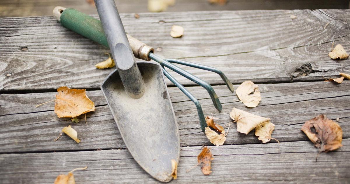 Late Fall Garden Tasks | Country Life