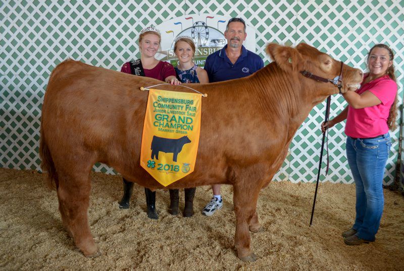 Shippensburg Junior Livestock Sale Brings in 170,000 Farm Shows