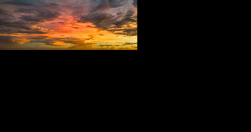 Gardening at Sundown - Vimarsana News