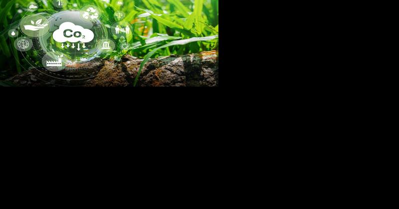 Direct Climate Funds to Farms, Not Big Business [Opinion] - Vimarsana News