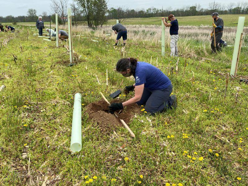 Master Watershed Stewards Clean York County Waterways - Vimarsana News