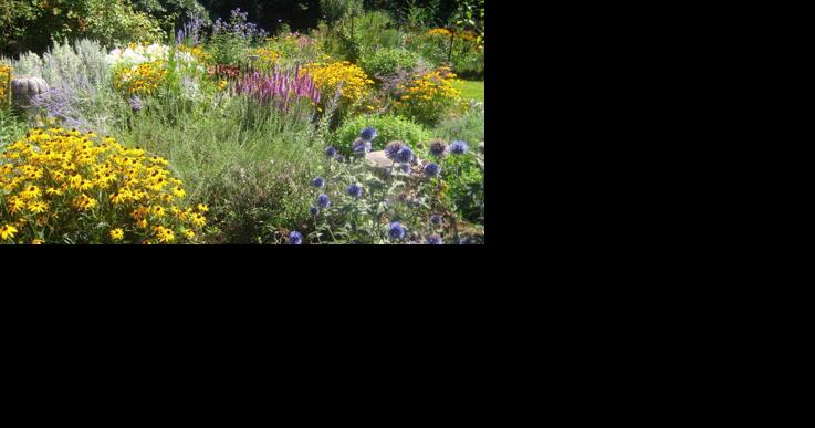 Slash Your Property Taxes with PA Clean & Green - Vimarsana News