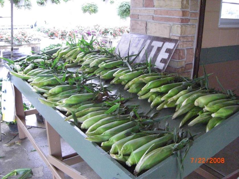 Grower Finds Deeper Meaning Appreciation Of Farm Life Main Edition Lancasterfarming Com