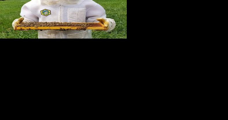 Pennsylvania 4-H'er Earns 2nd Place in National Beekeeping Essay Contest | Agriculture Education and Youth Organizations - Vimarsana News