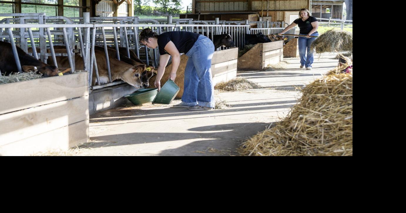 Sisterhood Drives Dairy at Hillacres Pride in Peach Bottom