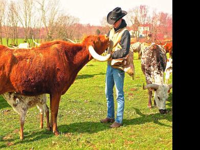 Bear Shares Secrets Of Raising Great Longhorns Southern Region Lancasterfarming Com