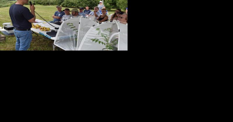 Robots, Fruit Rots Highlight Penn State Orchard Field Day - Vimarsana News