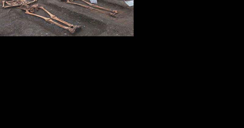 Medieval Manure Management Came at a Cost - Vimarsana News