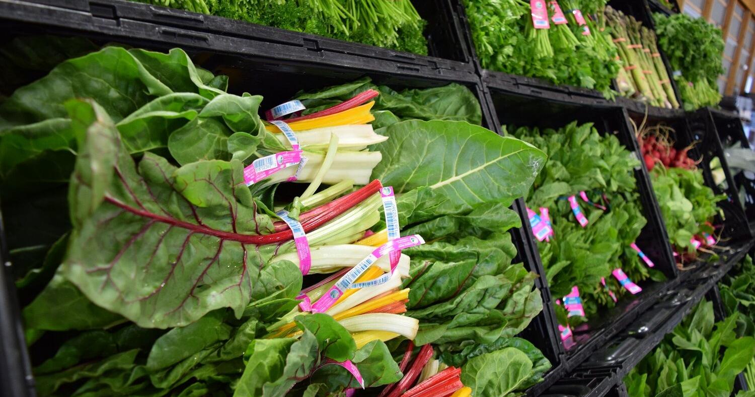 Still Fresh at 40: Jersey Fresh Enters Milestone Season - Vimarsana News