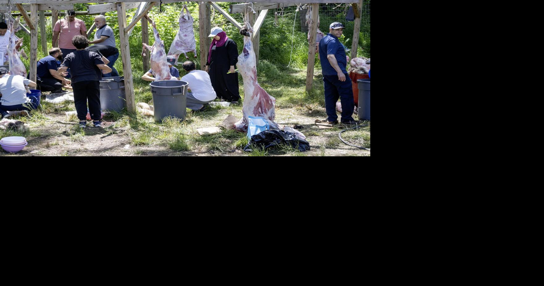 Pennsylvania Amish Halal Butchery Caters to Muslim Clients