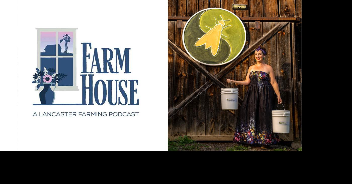 Turning Food Waste Into Compost With 'Fly Lady' Aubrey Fornwalt | The ...