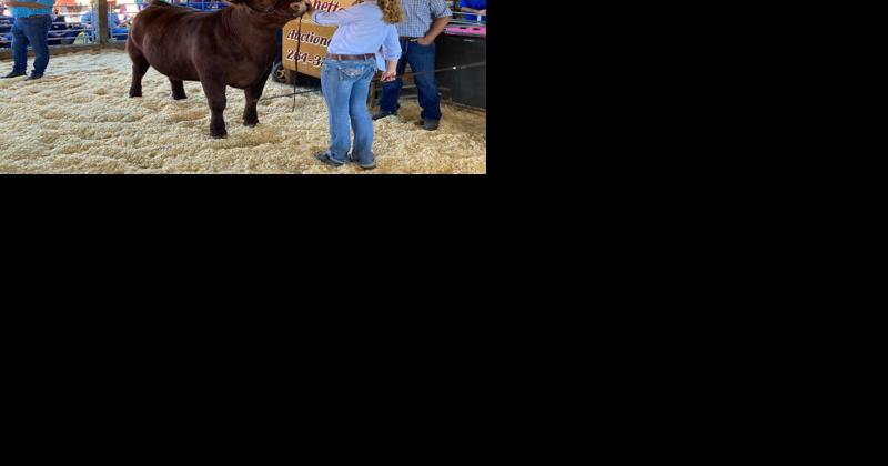 Shippensburg Fair Competitors Mark Milestones - Vimarsana News