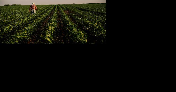 Nitrogen Management at Center of Climate Conversation - Vimarsana News