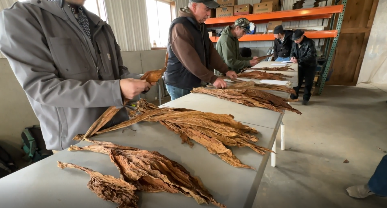 patrick reynolds tobacco Patrick Reynolds - View Profile & Connect