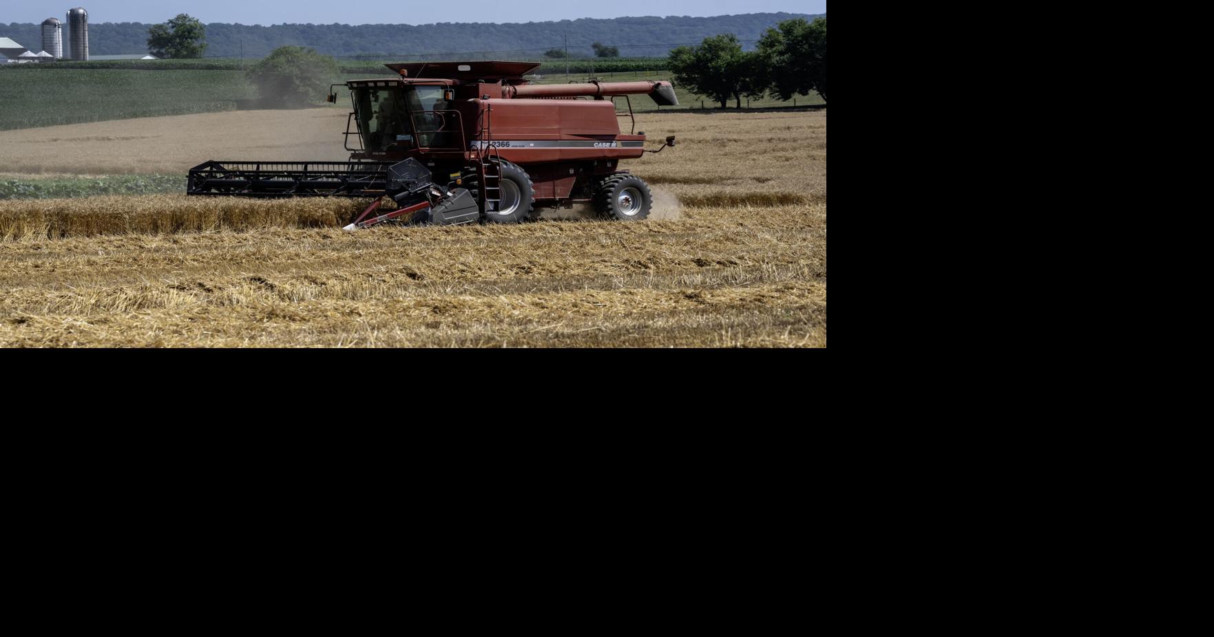Hot, Dry Conditions Benefit Pennsylvania Wheat Harvest
