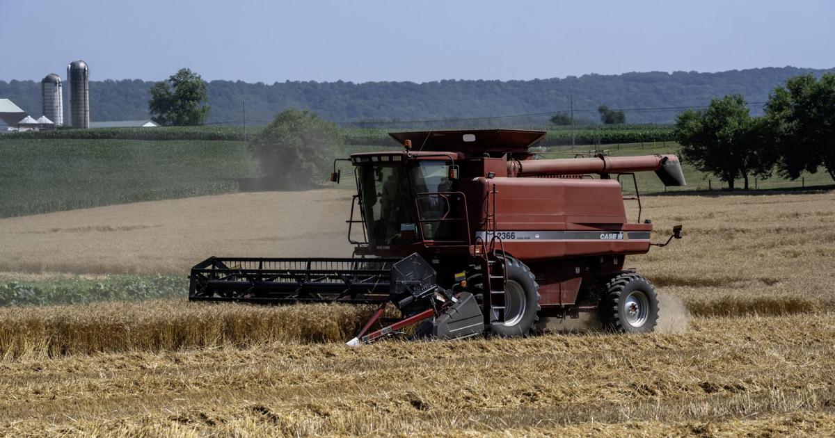 Hot, Dry Conditions Benefit Pennsylvania Wheat Harvest