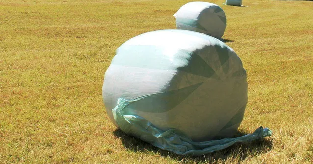 Extension Hay Workshop Covers Baleage, Marketing - Vimarsana News