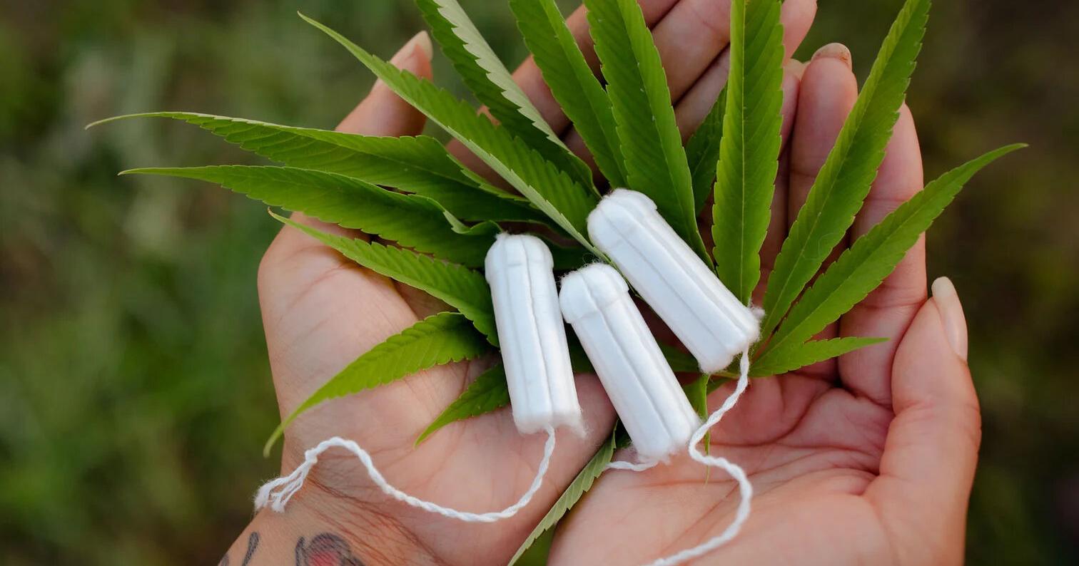 Hemp Tampons Offer Natural, Sustainable Option in Feminine Care Products - Vimarsana News