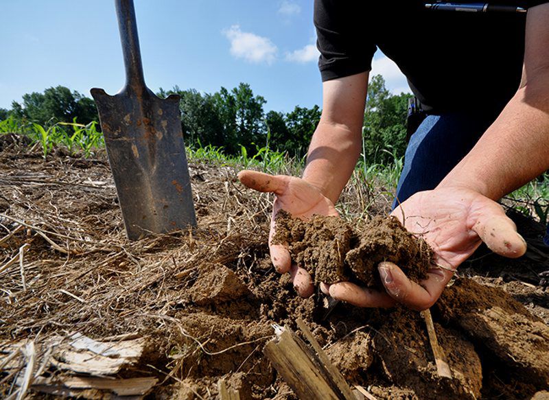 Web Soil Survey: A Tool for Your Working Land | Soil ...