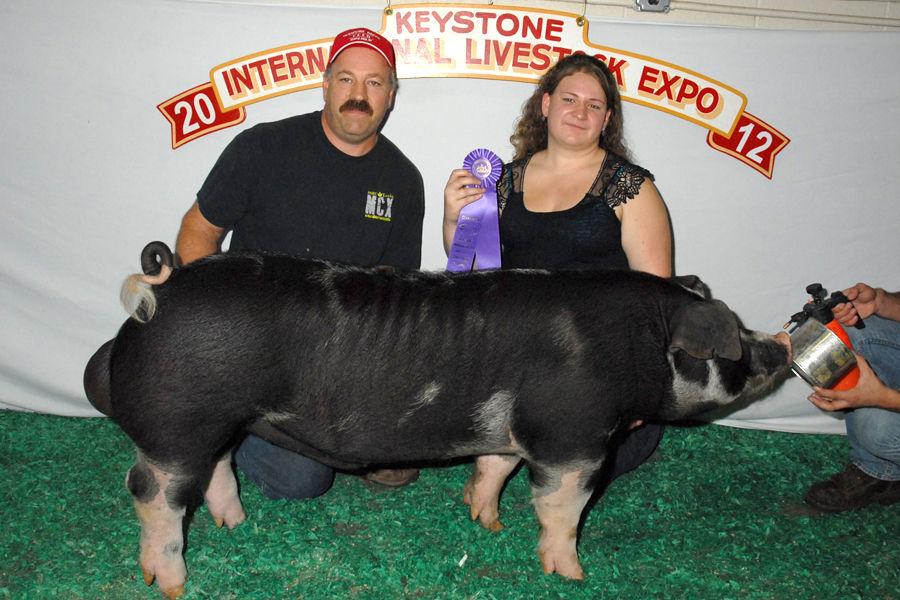 Superior Spot Boar and Chester White Gilt top KILE Swine Breeding Show